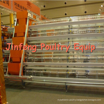 Chicken Breeding Equipment in Poultry House with Low Price